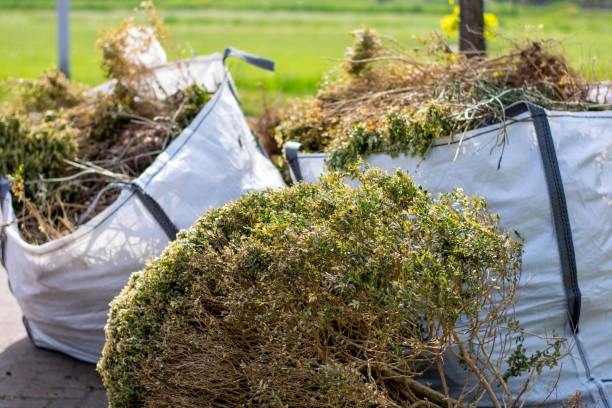 Best Trash Removal Near Me  in Hamlin, TX