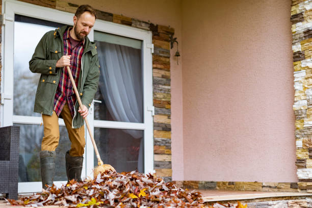 Best Electronics Removal Services  in Hamlin, TX